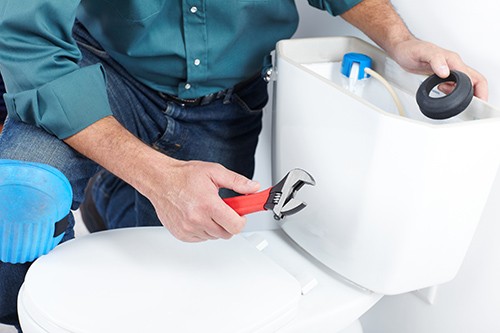 Dependable Toilet Installation in Coon Rapids